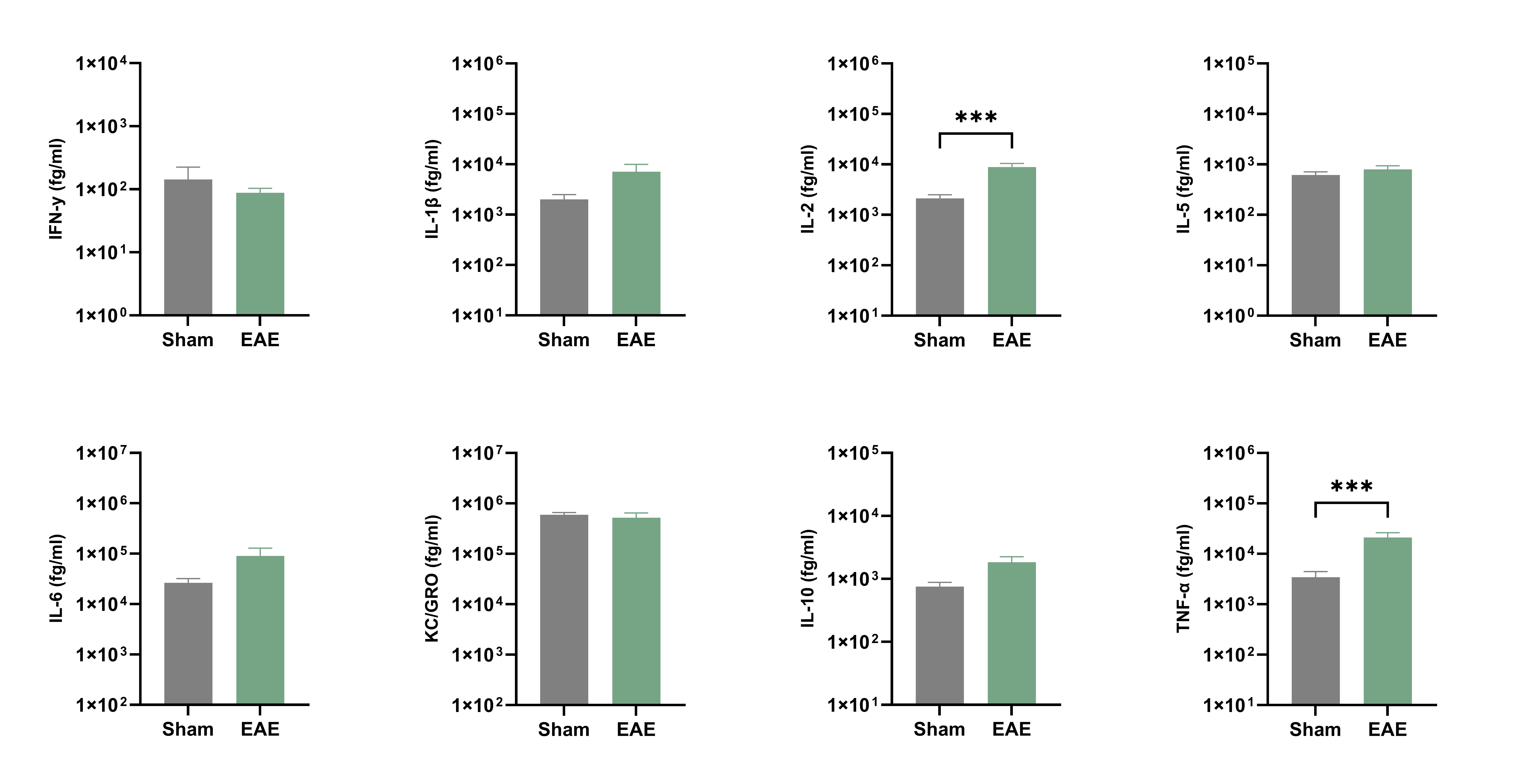 Terminal CSF cytokine concentrations in EAE vs. Sham